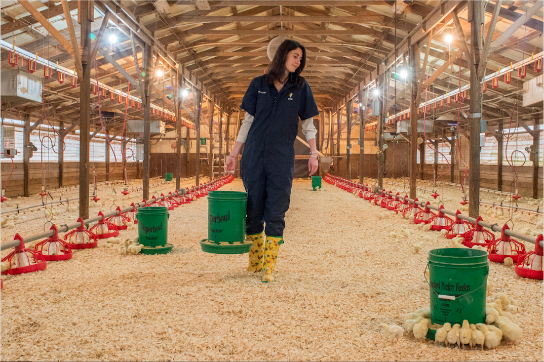 woman in overalls walks through barn