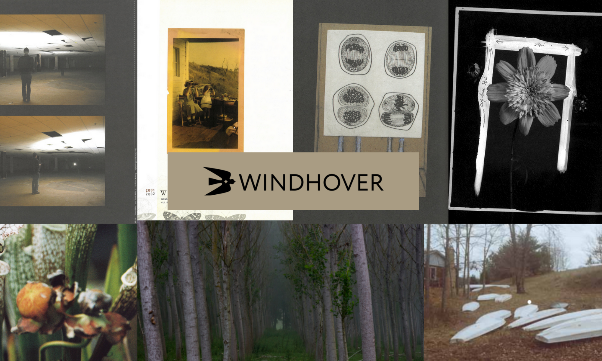 Collage of different pieces from windhover with the windhover logo in the center